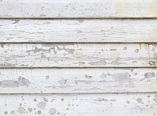 Best Shed Removal  in Sandpoint, ID